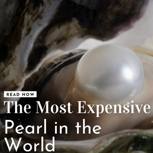  Most Expensive Pearl in the World