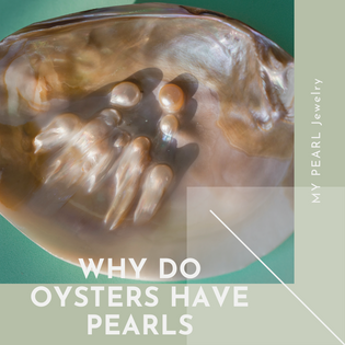  why do oysters have pearls
