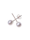 5.5mm Pearl Earrings